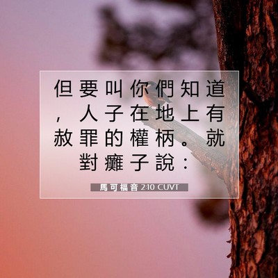 Picture 07 - 馬 可 福 音 2:10 CUVT - 但 要 叫 你 們 知 道 ， 人 子 在 地 - Bible Verse Picture
