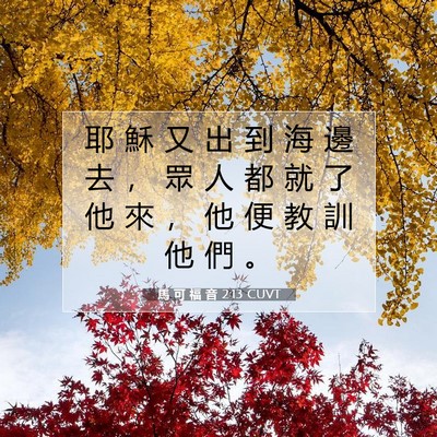 Picture 07 - 馬 可 福 音 2:13 CUVT - 耶 穌 又 出 到 海 邊 去 ， 眾 人 都 - Bible Verse Picture