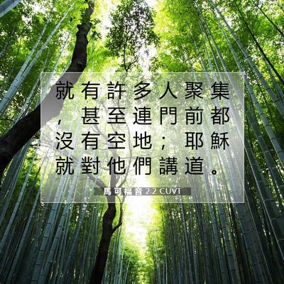 Picture 07 - 馬 可 福 音 2:2 CUVT - 就 有 許 多 人 聚 集 ， 甚 至 連 門 - Bible Verse Picture