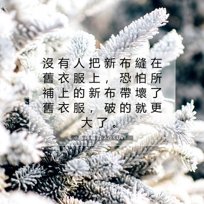 Picture 07 - 馬 可 福 音 2:21 CUVT - 沒 有 人 把 新 布 縫 在 舊 衣 服 上 - Bible Verse Picture