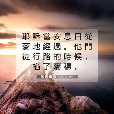 Picture 07 - 馬 可 福 音 2:23 CUVT - 耶 穌 當 安 息 日 從 麥 地 經 過 。 - Bible Verse Picture