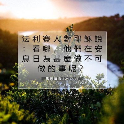 Picture 07 - 馬 可 福 音 2:24 CUVT - 法 利 賽 人 對 耶 穌 說 ： 看 哪 ， - Bible Verse Picture