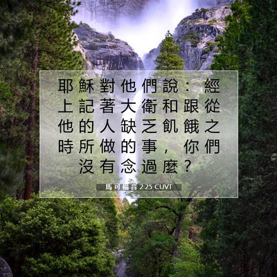 Picture 07 - 馬 可 福 音 2:25 CUVT - 耶 穌 對 他 們 說 ： 經 上 記 著 大 - Bible Verse Picture