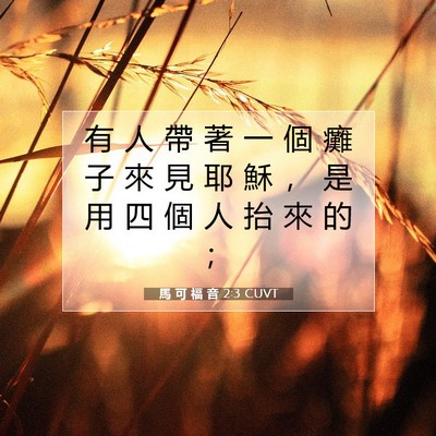 Picture 07 - 馬 可 福 音 2:3 CUVT - 有 人 帶 著 一 個 癱 子 來 見 耶 穌 - Bible Verse Picture