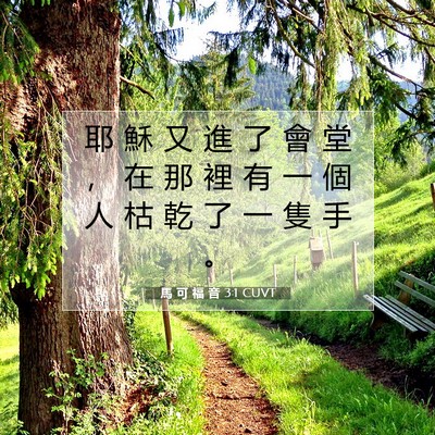 Picture 07 - 馬 可 福 音 3:1 CUVT - 耶 穌 又 進 了 會 堂 ， 在 那 裡 有 - Bible Verse Picture