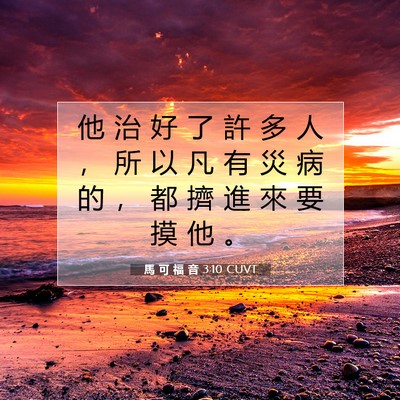 Picture 07 - 馬 可 福 音 3:10 CUVT - 他 治 好 了 許 多 人 ， 所 以 凡 有 - Bible Verse Picture