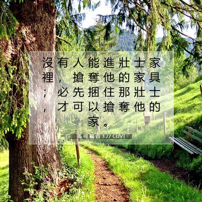 Picture 07 - 馬 可 福 音 3:27 CUVT - 沒 有 人 能 進 壯 士 家 裡 ， 搶 奪 - Bible Verse Picture