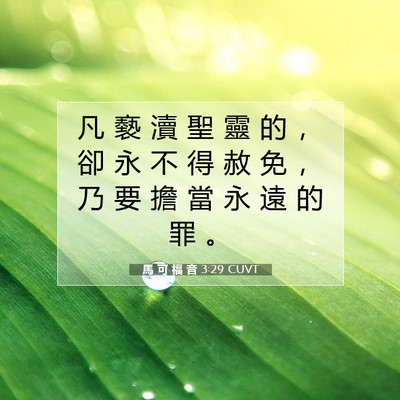 Picture 07 - 馬 可 福 音 3:29 CUVT - 凡 褻 瀆 聖 靈 的 ， 卻 永 不 得 赦 - Bible Verse Picture