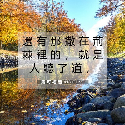 Picture 07 - 馬 可 福 音 4:18 CUVT - 還 有 那 撒 在 荊 棘 裡 的 ， 就 是 - Bible Verse Picture