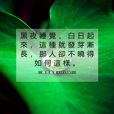 Picture 07 - 馬 可 福 音 4:27 CUVT - 黑 夜 睡 覺 ， 白 日 起 來 ， 這 種 - Bible Verse Picture