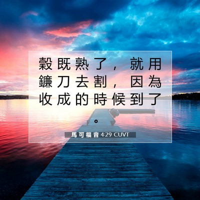 Picture 07 - 馬 可 福 音 4:29 CUVT - 穀 既 熟 了 ， 就 用 鐮 刀 去 割 ， - Bible Verse Picture