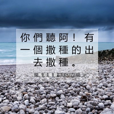 Picture 07 - 馬 可 福 音 4:3 CUVT - 你 們 聽 阿 ！ 有 一 個 撒 種 的 出 - Bible Verse Picture