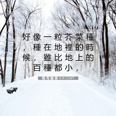 Picture 07 - 馬 可 福 音 4:31 CUVT - 好 像 一 粒 芥 菜 種 ， 種 在 地 裡 - Bible Verse Picture