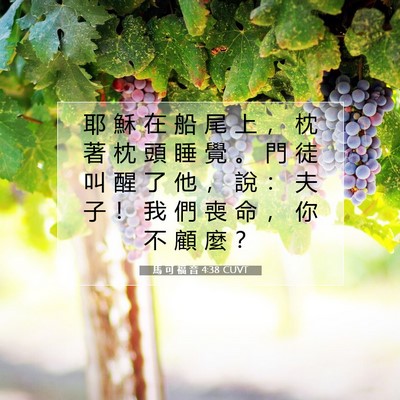 Picture 07 - 馬 可 福 音 4:38 CUVT - 耶 穌 在 船 尾 上 ， 枕 著 枕 頭 睡 - Bible Verse Picture