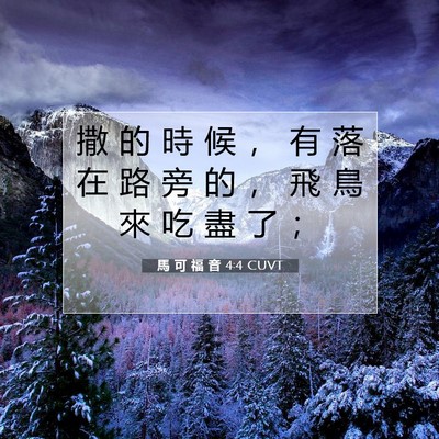 Picture 07 - 馬 可 福 音 4:4 CUVT - 撒 的 時 候 ， 有 落 在 路 旁 的 ， - Bible Verse Picture