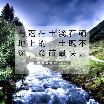 Picture 07 - 馬 可 福 音 4:5 CUVT - 有 落 在 土 淺 石 頭 地 上 的 ， 土 - Bible Verse Picture