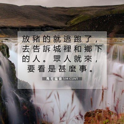Picture 07 - 馬 可 福 音 5:14 CUVT - 放 豬 的 就 逃 跑 了 ， 去 告 訴 城 - Bible Verse Picture