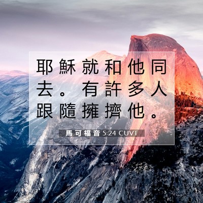 Picture 07 - 馬 可 福 音 5:24 CUVT - 耶 穌 就 和 他 同 去 。 有 許 多 人 - Bible Verse Picture