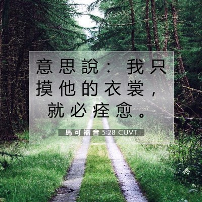 Picture 07 - 馬 可 福 音 5:28 CUVT - 意 思 說 ： 我 只 摸 他 的 衣 裳 ， - Bible Verse Picture