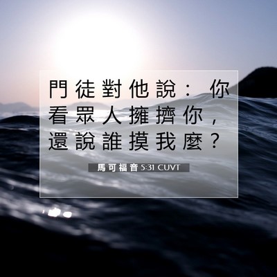 Picture 07 - 馬 可 福 音 5:31 CUVT - 門 徒 對 他 說 ： 你 看 眾 人 擁 擠 - Bible Verse Picture