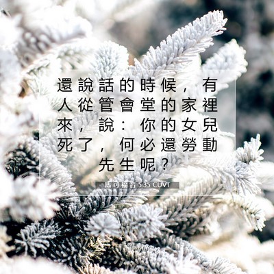 Picture 07 - 馬 可 福 音 5:35 CUVT - 還 說 話 的 時 候 ， 有 人 從 管 會 - Bible Verse Picture