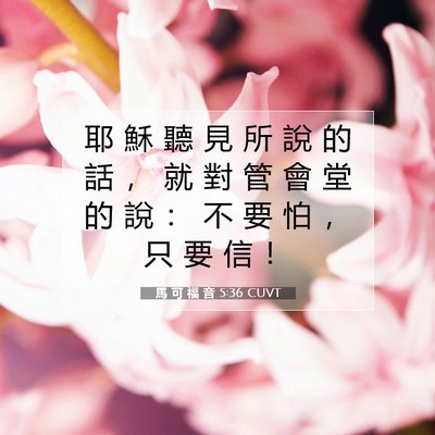 Picture 07 - 馬 可 福 音 5:36 CUVT - 耶 穌 聽 見 所 說 的 話 ， 就 對 管 - Bible Verse Picture