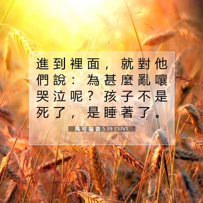Picture 07 - 馬 可 福 音 5:39 CUVT - 進 到 裡 面 ， 就 對 他 們 說 ： 為 - Bible Verse Picture