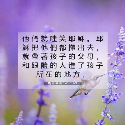 Picture 07 - 馬 可 福 音 5:40 CUVT - 他 們 就 嗤 笑 耶 穌 。 耶 穌 把 他 - Bible Verse Picture