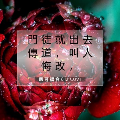 Picture 07 - 馬 可 福 音 6:12 CUVT - 門 徒 就 出 去 傳 道 ， 叫 人 悔 改 - Bible Verse Picture