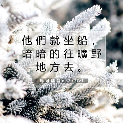 Picture 07 - 馬 可 福 音 6:32 CUVT - 他 們 就 坐 船 ， 暗 暗 的 往 曠 野 - Bible Verse Picture