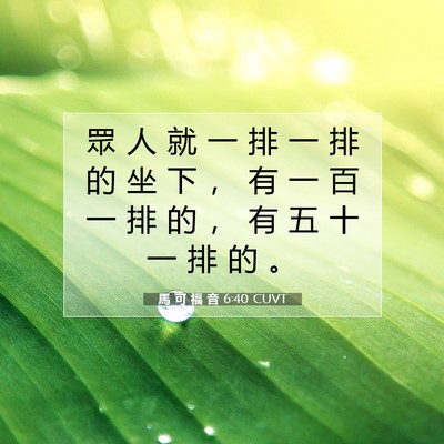 Picture 07 - 馬 可 福 音 6:40 CUVT - 眾 人 就 一 排 一 排 的 坐 下 ， 有 - Bible Verse Picture