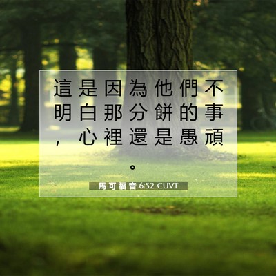 Picture 07 - 馬 可 福 音 6:52 CUVT - 這 是 因 為 他 們 不 明 白 那 分 餅 - Bible Verse Picture