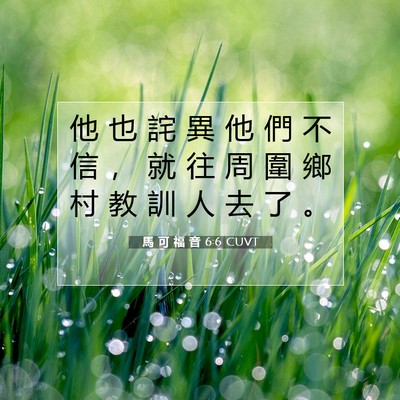 Picture 07 - 馬 可 福 音 6:6 CUVT - 他 也 詫 異 他 們 不 信 ， 就 往 周 - Bible Verse Picture