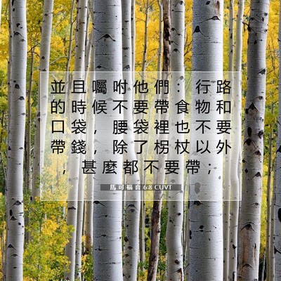 Picture 07 - 馬 可 福 音 6:8 CUVT - 並 且 囑 咐 他 們 ： 行 路 的 時 候 - Bible Verse Picture