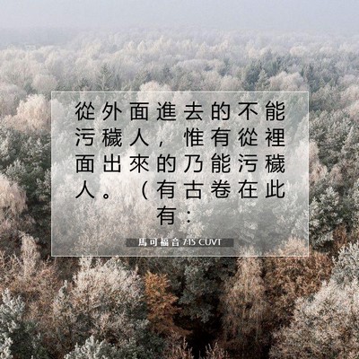 Picture 07 - 馬 可 福 音 7:15 CUVT - 從 外 面 進 去 的 不 能 污 穢 人 ， - Bible Verse Picture