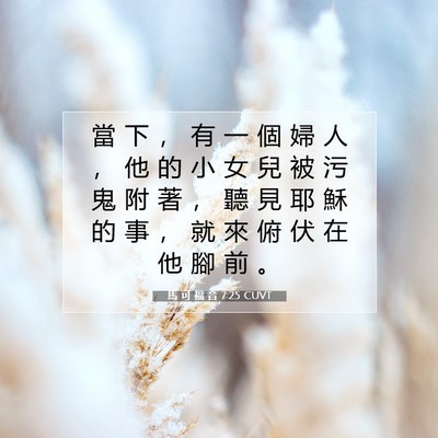 Picture 07 - 馬 可 福 音 7:25 CUVT - 當 下 ， 有 一 個 婦 人 ， 他 的 小 - Bible Verse Picture