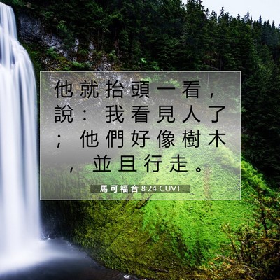 Picture 07 - 馬 可 福 音 8:24 CUVT - 他 就 抬 頭 一 看 ， 說 ： 我 看 見 - Bible Verse Picture