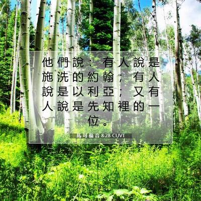 Picture 07 - 馬 可 福 音 8:28 CUVT - 他 們 說 ： 有 人 說 是 施 洗 的 約 - Bible Verse Picture