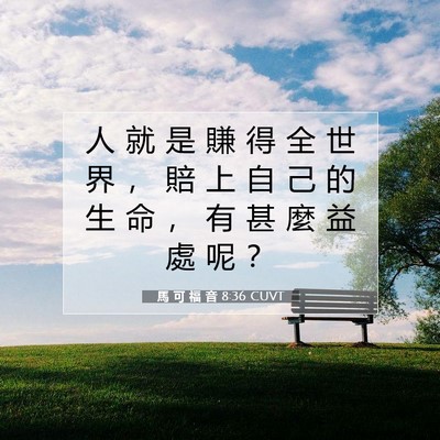 Picture 07 - 馬 可 福 音 8:36 CUVT - 人 就 是 賺 得 全 世 界 ， 賠 上 自 - Bible Verse Picture