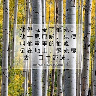 Picture 07 - 馬 可 福 音 9:20 CUVT - 他 們 就 帶 了 他 來 。 他 一 見 耶 - Bible Verse Picture
