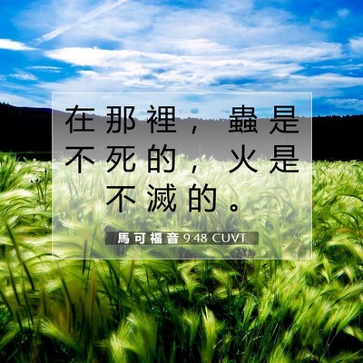 Picture 07 - 馬 可 福 音 9:48 CUVT - 在 那 裡 ， 蟲 是 不 死 的 ， 火 是 - Bible Verse Picture