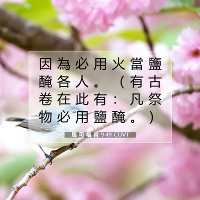 Picture 07 - 馬 可 福 音 9:49 CUVT - 因 為 必 用 火 當 鹽 醃 各 人 。 （ - Bible Verse Picture