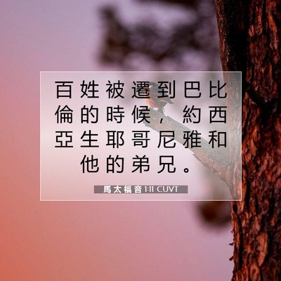 Picture 07 - 馬 太 福 音 1:11 CUVT - 百 姓 被 遷 到 巴 比 倫 的 時 候 ， - Bible Verse Picture
