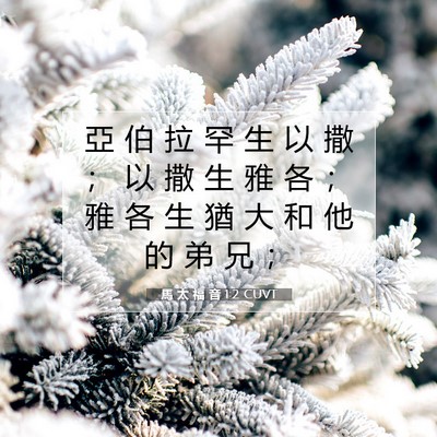 Picture 07 - 馬 太 福 音 1:2 CUVT - 亞 伯 拉 罕 生 以 撒 ； 以 撒 生 雅 - Bible Verse Picture