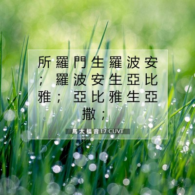 Picture 07 - 馬 太 福 音 1:7 CUVT - 所 羅 門 生 羅 波 安 ； 羅 波 安 生 - Bible Verse Picture