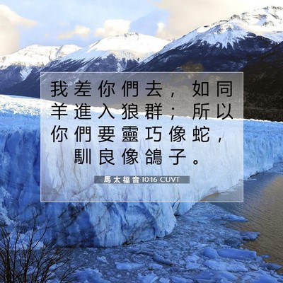 Picture 07 - 馬 太 福 音 10:16 CUVT - 我 差 你 們 去 ， 如 同 羊 進 入 狼 - Bible Verse Picture