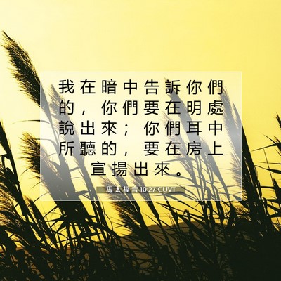 Picture 07 - 馬 太 福 音 10:27 CUVT - 我 在 暗 中 告 訴 你 們 的 ， 你 們 - Bible Verse Picture