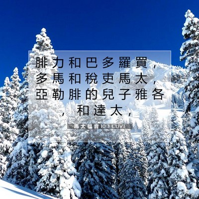 Picture 07 - 馬 太 福 音 10:3 CUVT - 腓 力 和 巴 多 羅 買 ， 多 馬 和 稅 - Bible Verse Picture