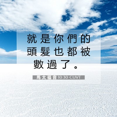 Picture 07 - 馬 太 福 音 10:30 CUVT - 就 是 你 們 的 頭 髮 也 都 被 數 過 - Bible Verse Picture