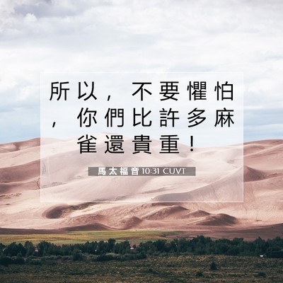 Picture 07 - 馬 太 福 音 10:31 CUVT - 所 以 ， 不 要 懼 怕 ， 你 們 比 許 - Bible Verse Picture